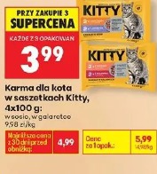 Karma dla kota w saszetkach Kitty
