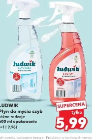 Ludwik Płyn do mycia szyb