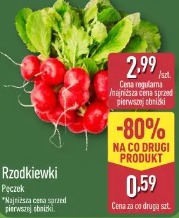 Rzodkiewki