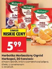 Herbatka Herbaciany Ogród Herbapol