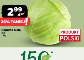 Kapusta biała
