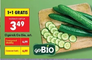 Ogórek Go Bio