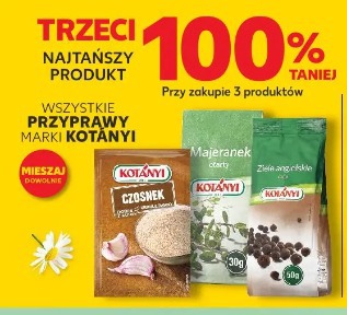Wszystkie przyprawy marki Kotányi