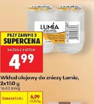 Wkład olejowy do zniczy Lumia