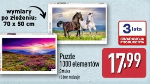 Puzzle 1000 elementów