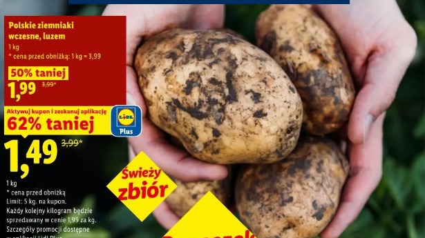 Polskie ziemniaki wczesne