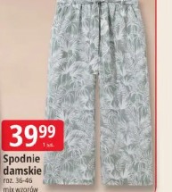 Spodnie damskie