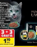 Karma dla kota Sheba