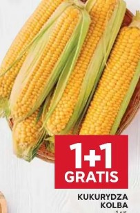Kukurydza kolba