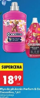 Płyn do płukania Perfum & Care Coccolino