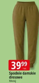 Spodnie damskie dresowe Moraj
