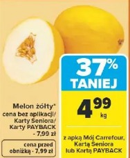 Melon żółty