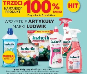 Wszystkie artykuły marki Ludwik