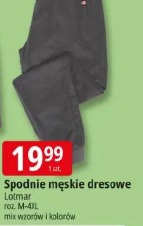 Spodnie męskie dresowe Lotmar