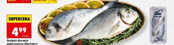 Świeża dorada patroszona Marinero
