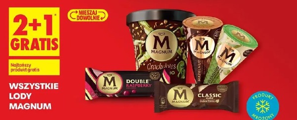 Wszystkie lody Magnum