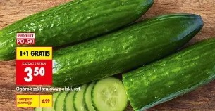 Ogórek szklarniowy polski