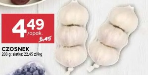 Czosnek