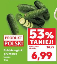 Polskie ogórki gruntowe