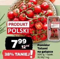 Pomidor Tatami na gałązce