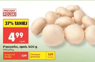 Pieczarka