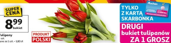 Tulipany