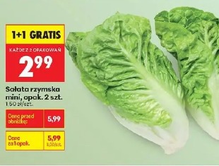 Sałata rzymska mini