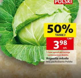Kapusta młoda