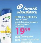 Head & Shoulders Citrus Fresh szampon przeciwłupieżowy