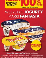 Wszystkie jogurty marki Fantasia