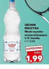 Cechini Muszyna Woda wysoko-zmineralizowana