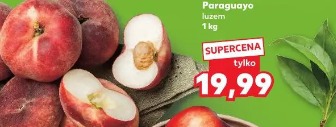 Paraguayo