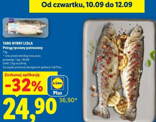 Targ Rybny Lidla Pstrąg tęczowy patroszony