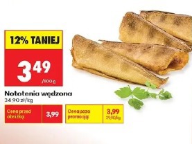 Nototenia wędzona