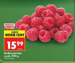 Malina polska