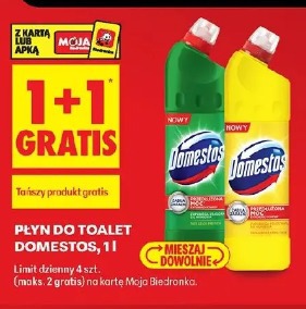 Płyn do toalet Domestos