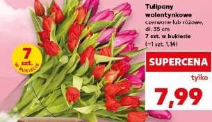 Tulipany walentynkowe