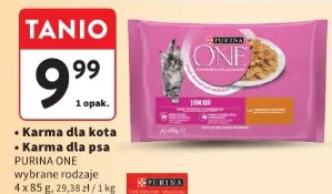 Karma dla kota PURINA ONE