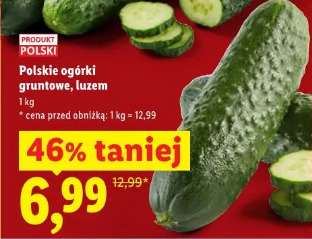 Polskie ogórki gruntowe