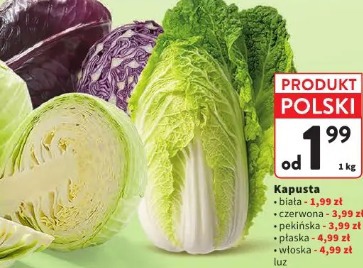 Kapusta