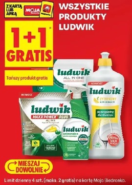 Wszystkie produkty Ludwik