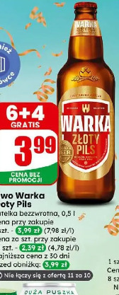 Warka Złoty Pils piwo