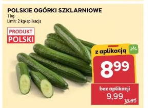 Polskie ogórki szklarniowe