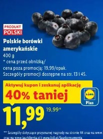 Polskie borówki amerykańskie