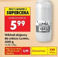 Wkład olejowy do zniczy Lumia