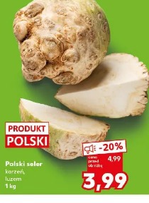 Polski seler korzeń