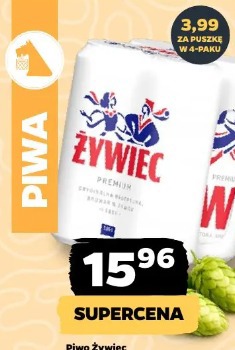 Piwo Żywiec