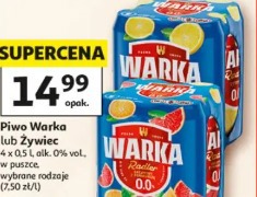 Warka lub Żywiec piwo