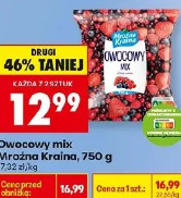 Owocowy mix Mrożna Kraina
