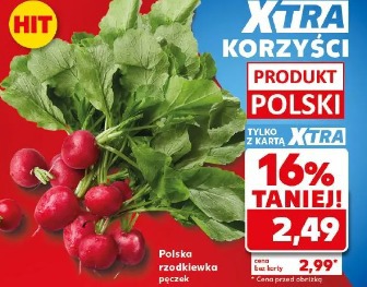 Polska rzodkiewka
